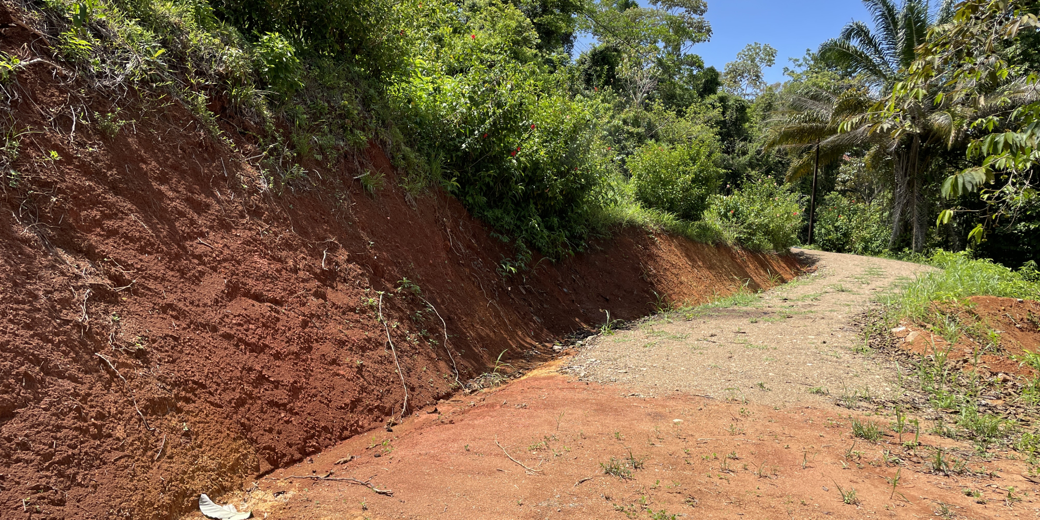 0 bed Land For Sale in Ojochal, Puntarenas - thumb 3