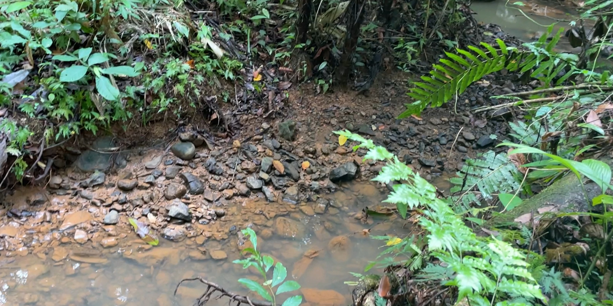 0 bed Land For Sale in Ojochal, Puntarenas - thumb 16