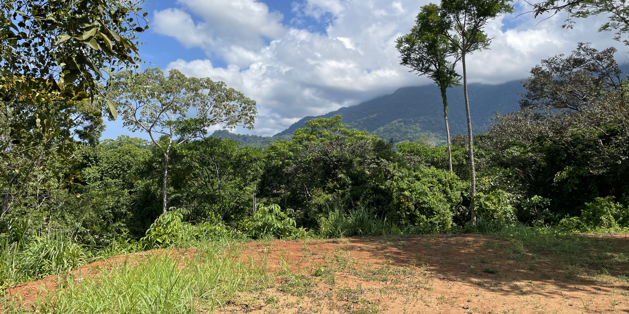 0 bed Land For Sale in Ojochal, Puntarenas - thumb 1