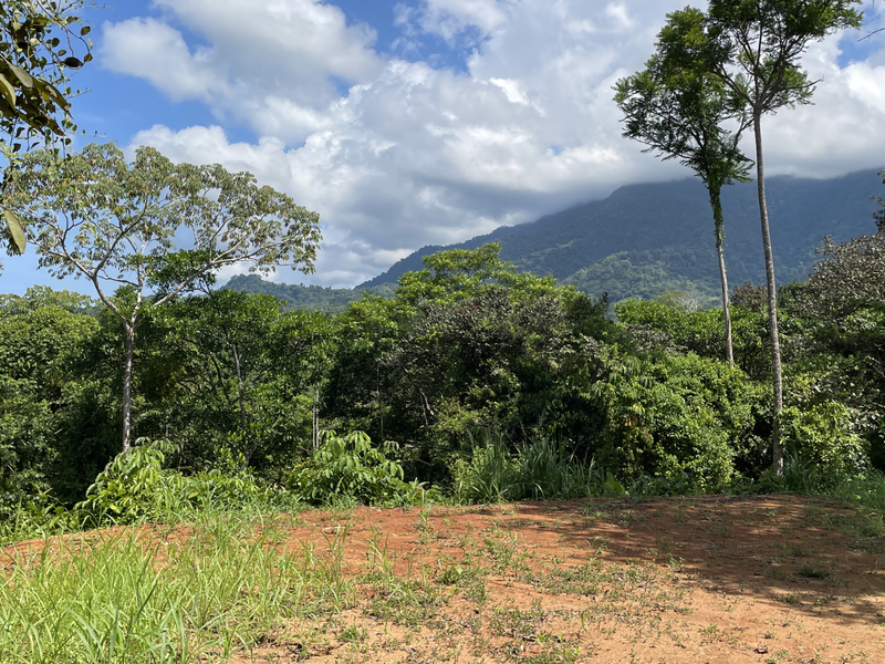 0 bed Land For Sale in Ojochal, Puntarenas - 1