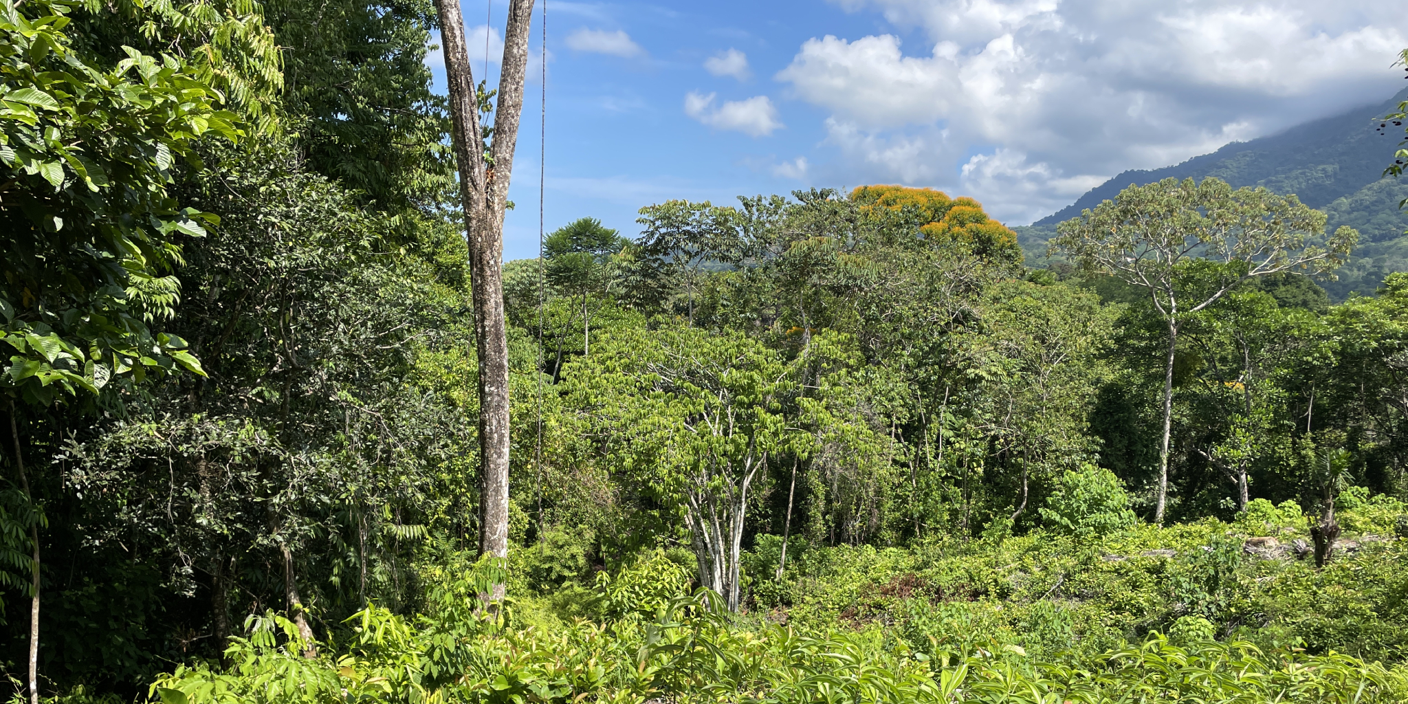 0 bed Land For Sale in Ojochal, Puntarenas - thumb 14