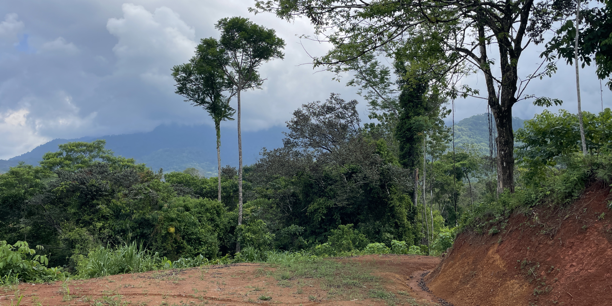 0 bed Land For Sale in Ojochal, Puntarenas - thumb 10