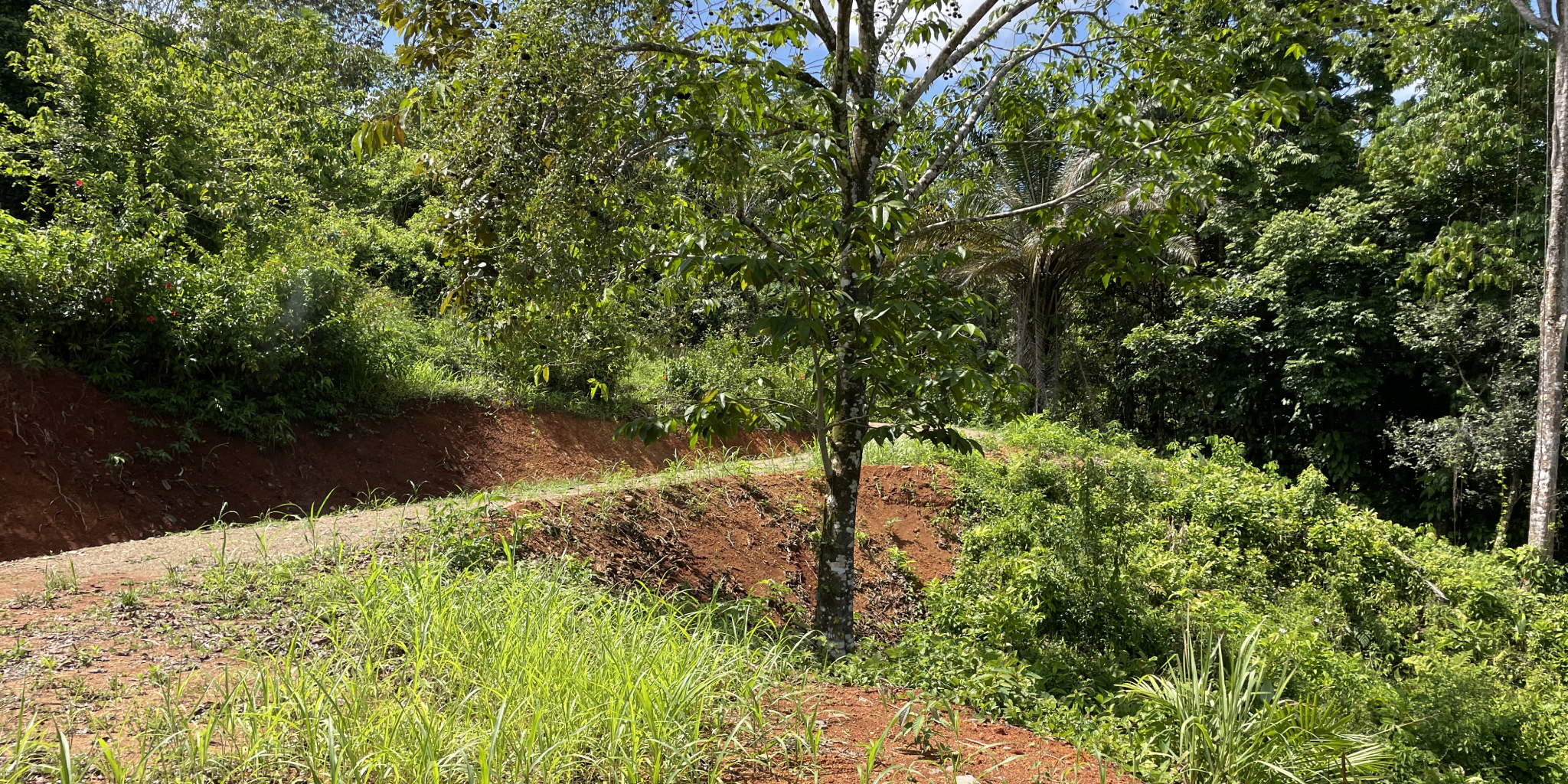 0 bed Land For Sale in Ojochal, Puntarenas - thumb 4