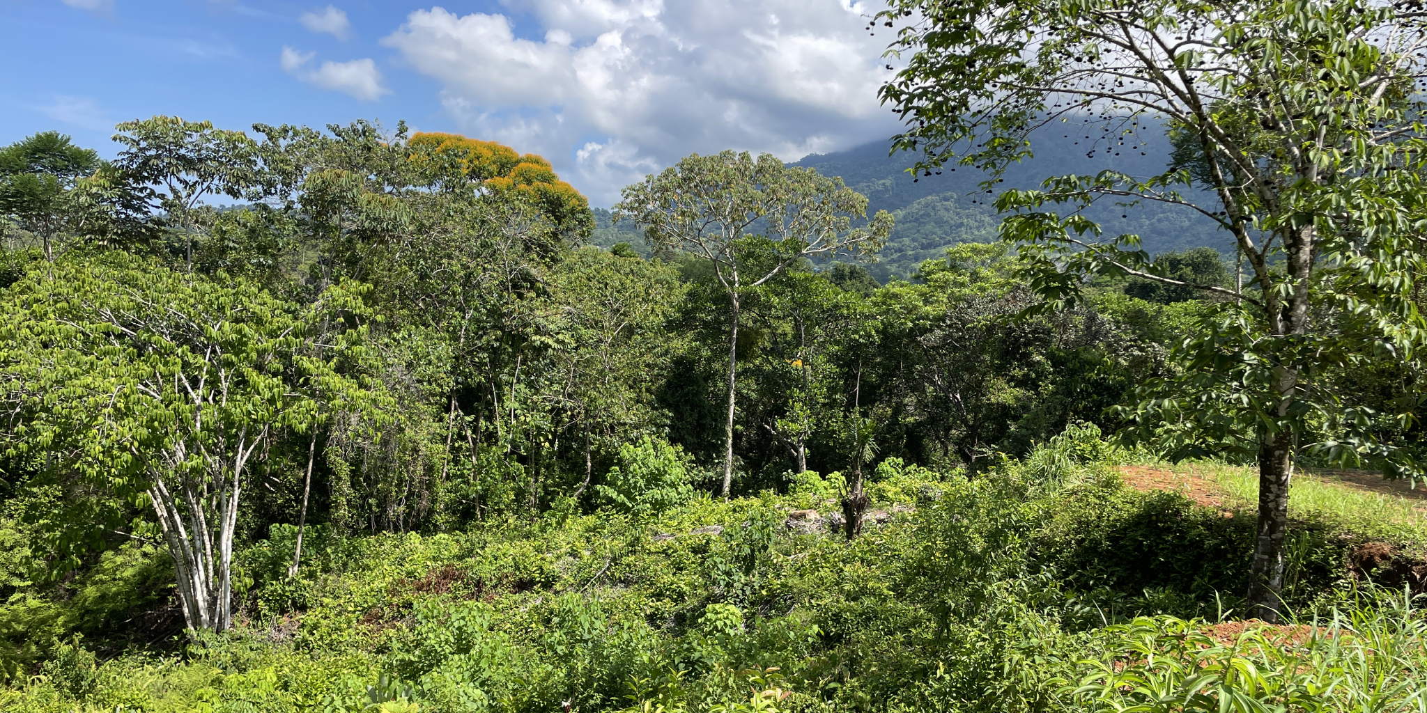 0 bed Land For Sale in Ojochal, Puntarenas - thumb 15