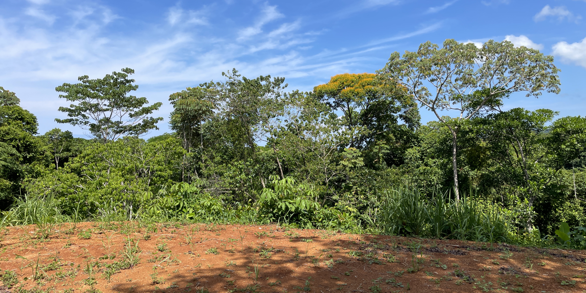 0 bed Land For Sale in Ojochal, Puntarenas - thumb 5