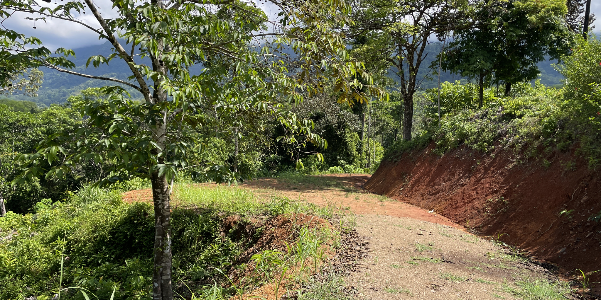 0 bed Land For Sale in Ojochal, Puntarenas - thumb 7