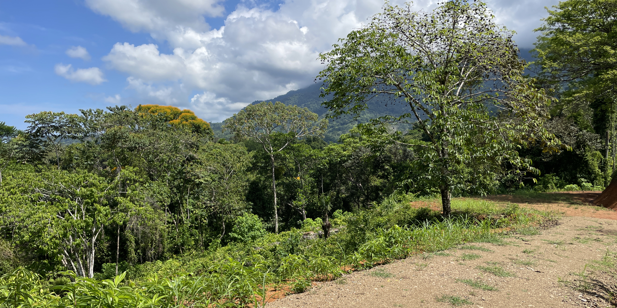 0 bed Land For Sale in Ojochal, Puntarenas - thumb 12