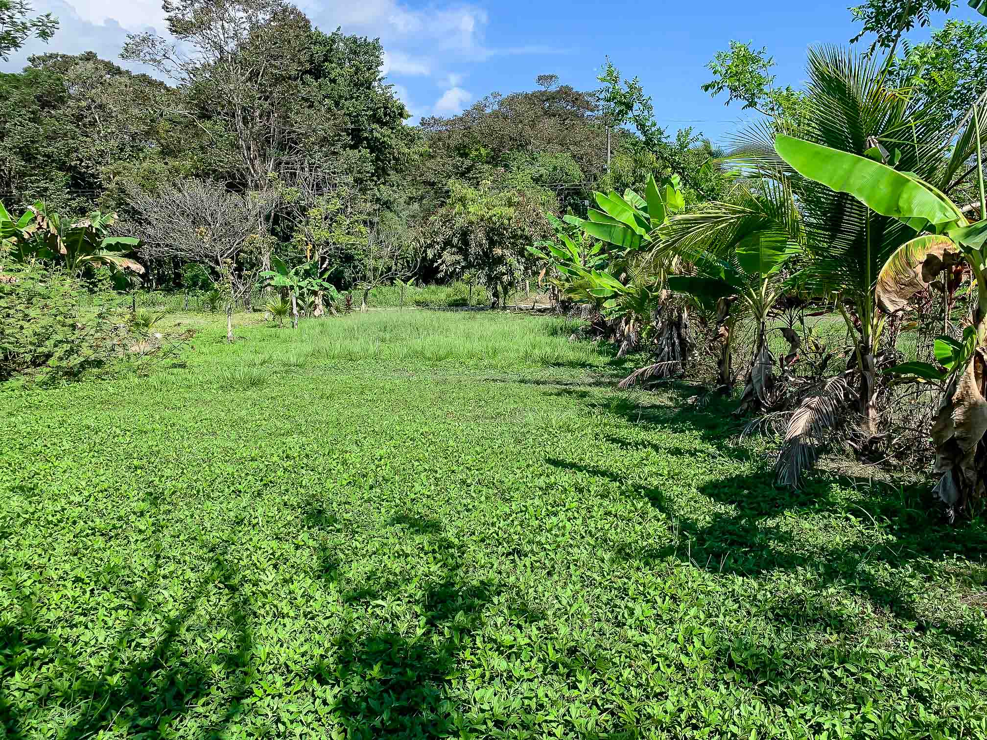 0 bed Land For Sale in Savegre, Puntarenas - thumb 5