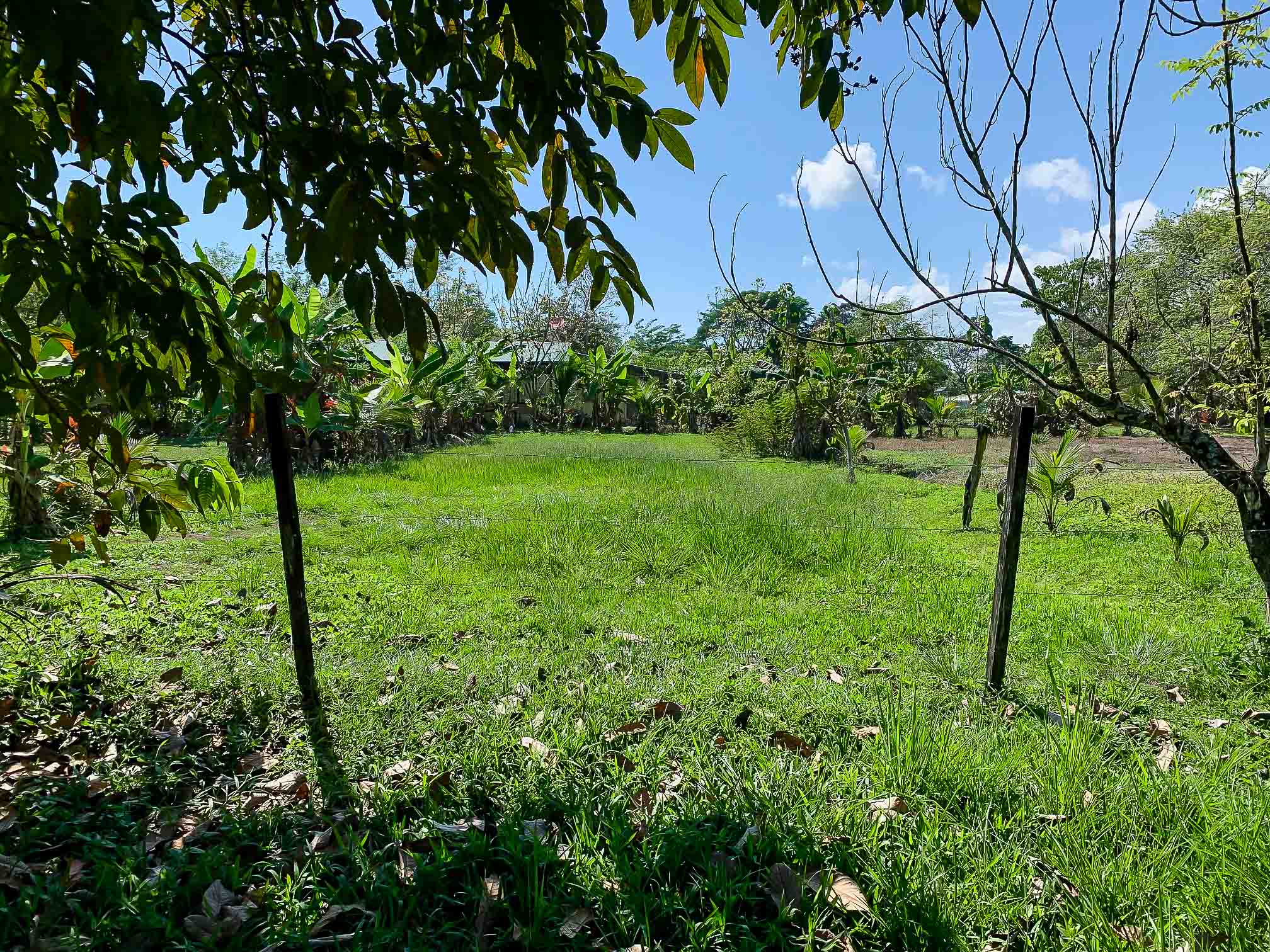 0 bed Land For Sale in Savegre, Puntarenas - thumb 6