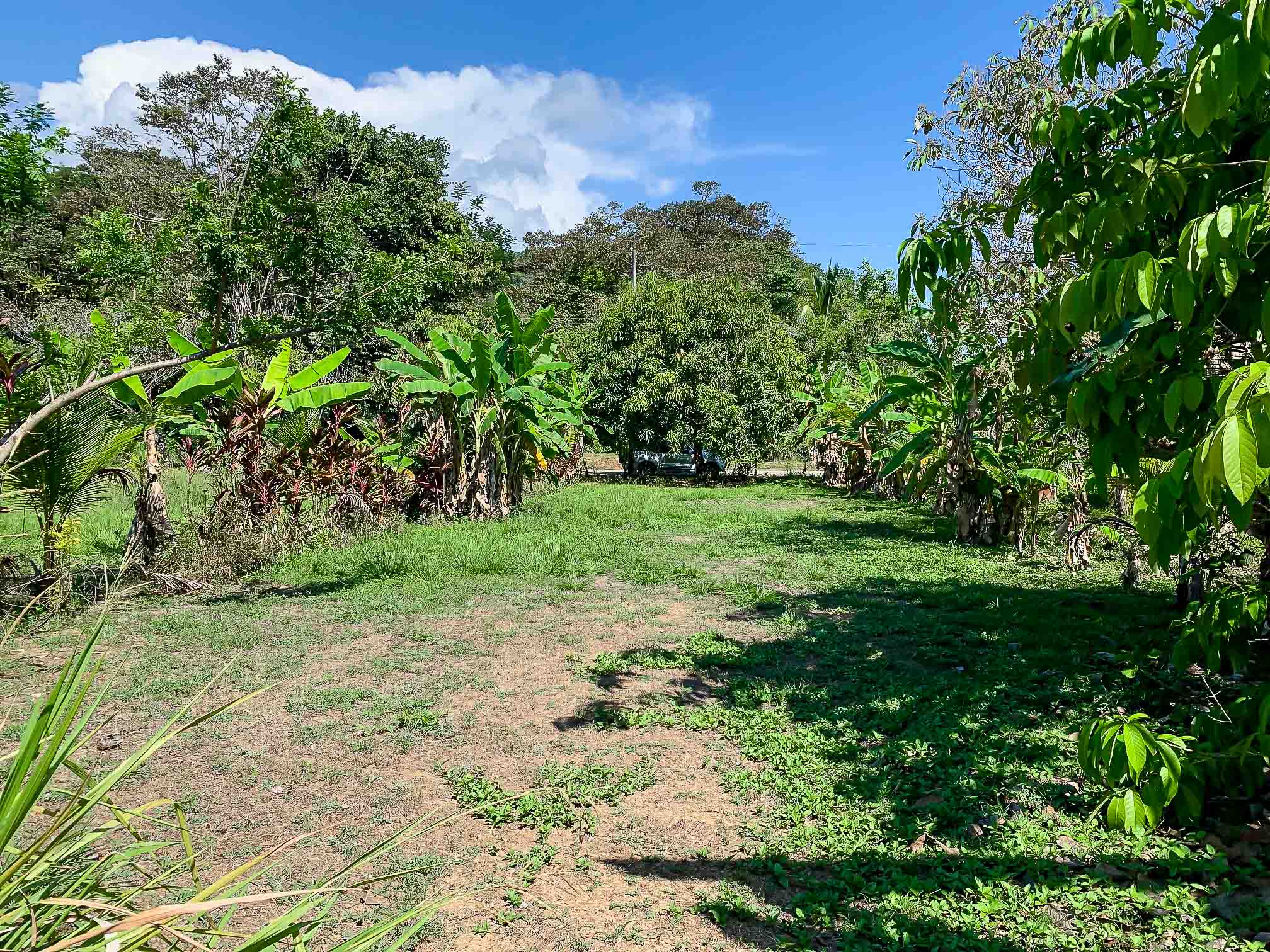 0 bed Land For Sale in Savegre, Puntarenas - thumb 4