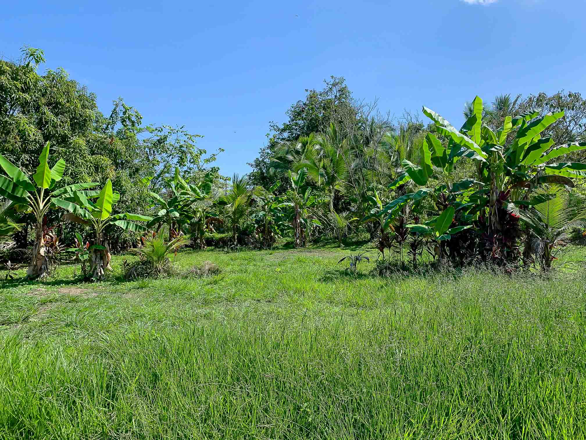 0 bed Land For Sale in Savegre, Puntarenas - thumb 7