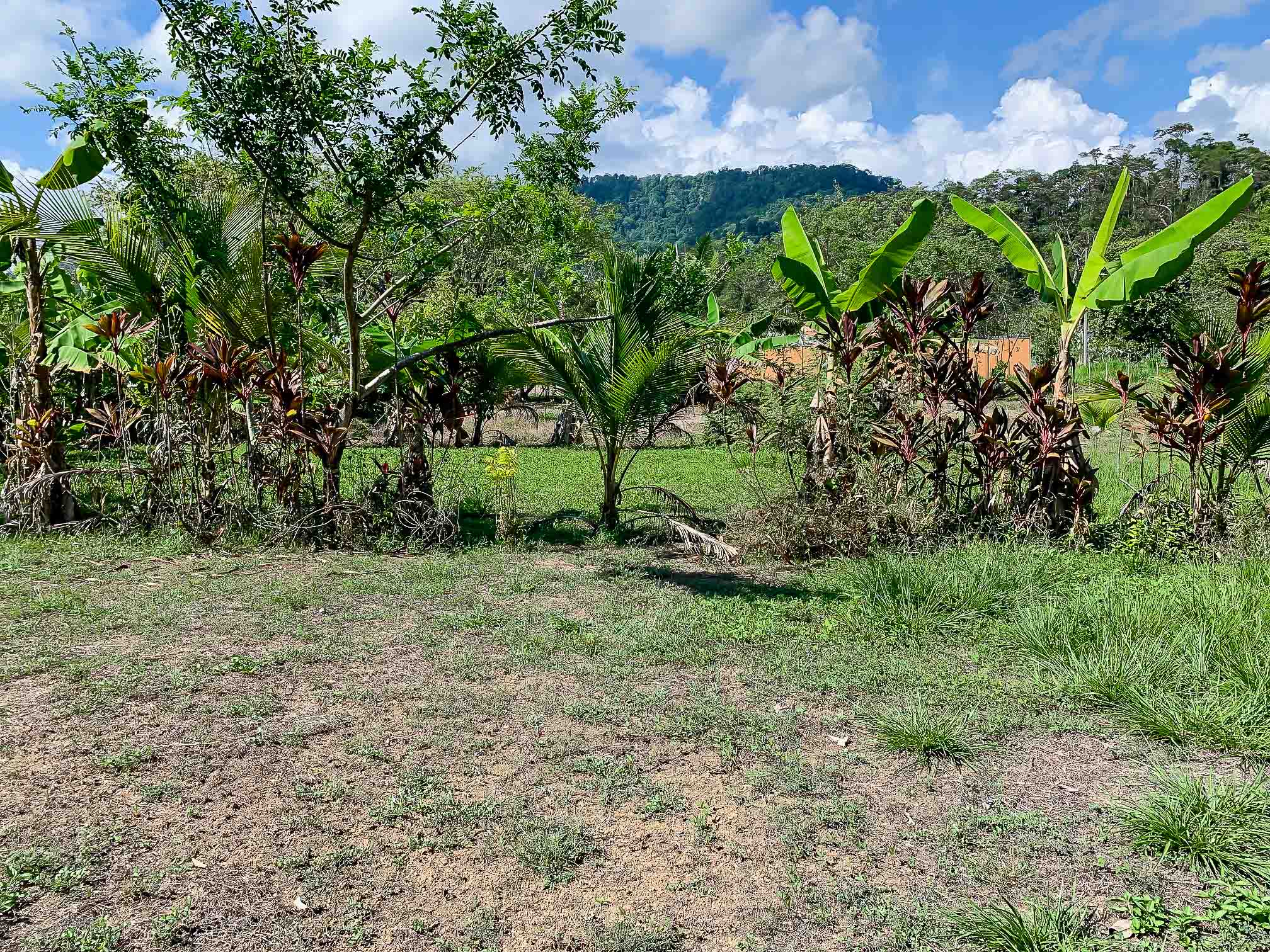 0 bed Land For Sale in Savegre, Puntarenas - thumb 3