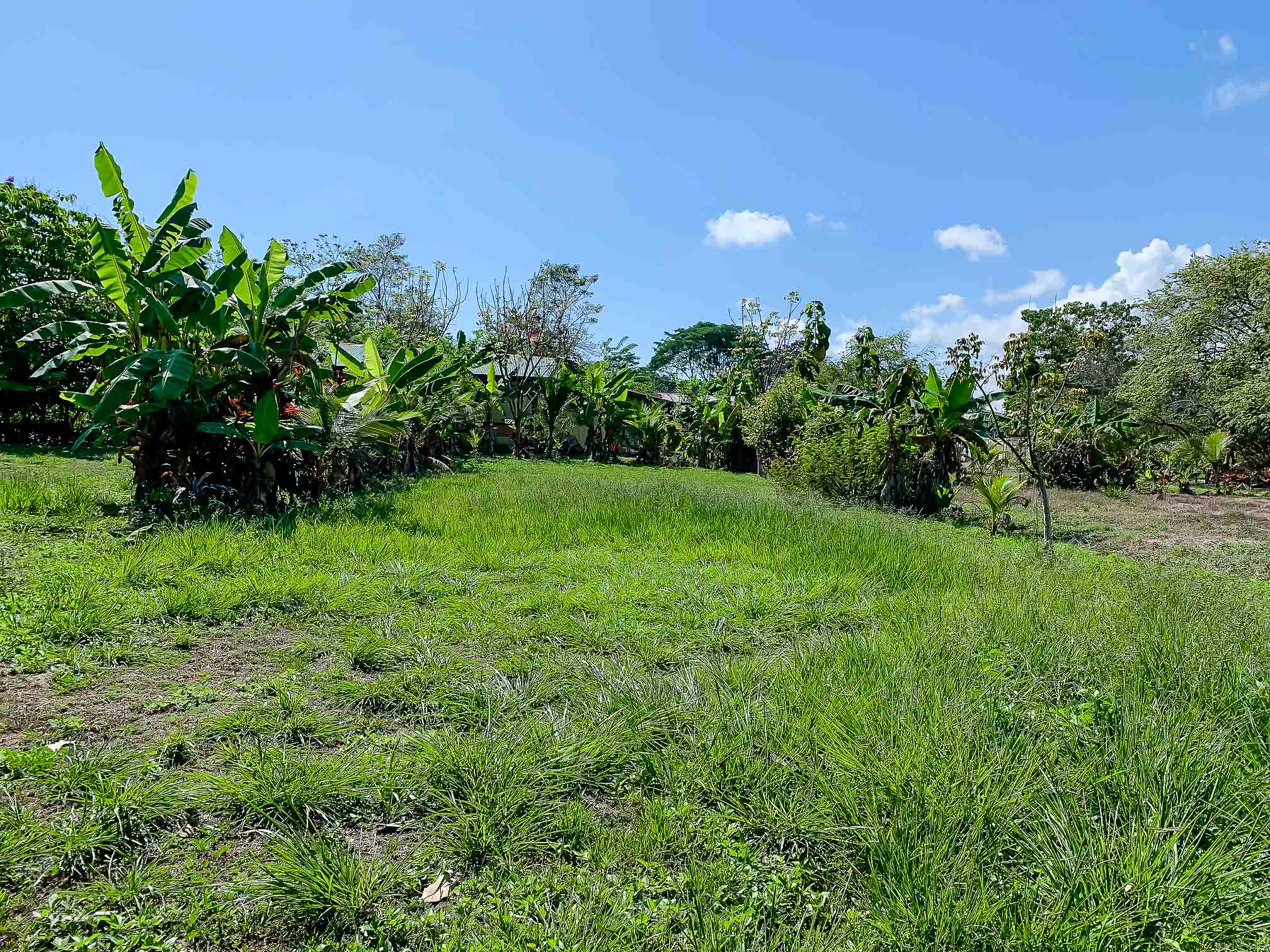 0 bed Land For Sale in Savegre, Puntarenas - thumb 1