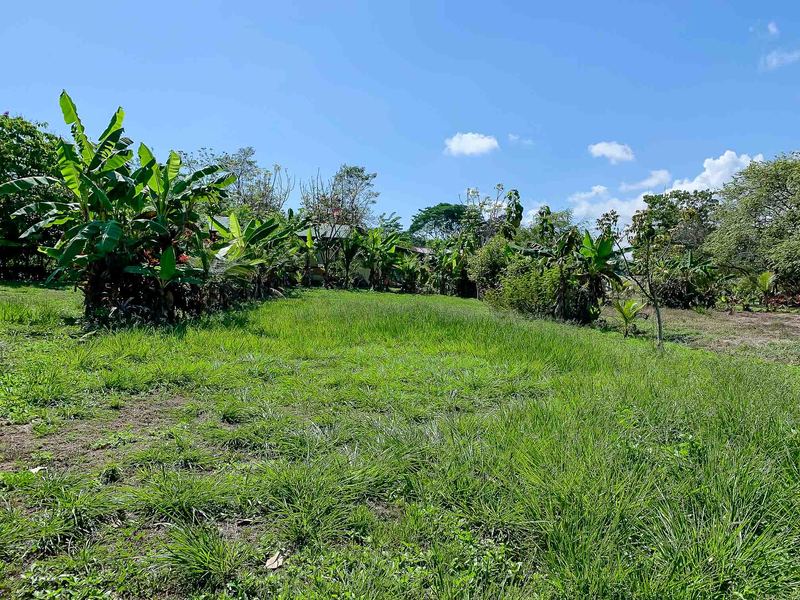 0 bed Land For Sale in Savegre, Puntarenas - 1