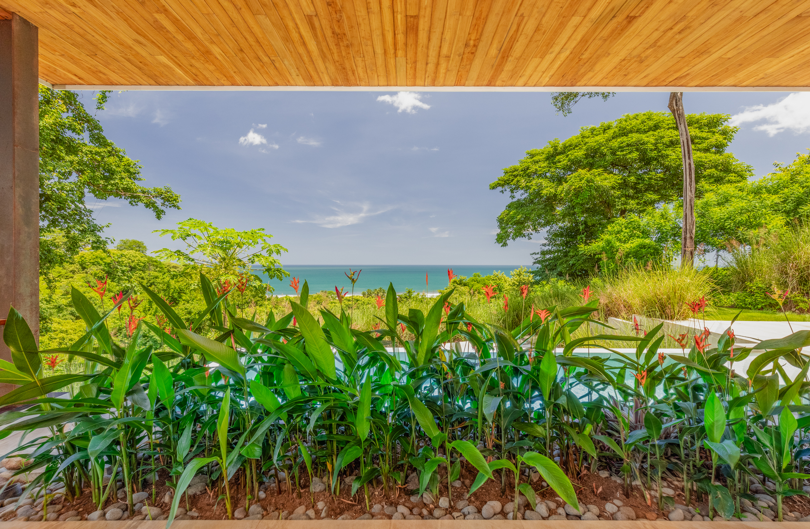 3 bed Single Family Homes For Sale in Ostional, Guanacaste - thumb 6