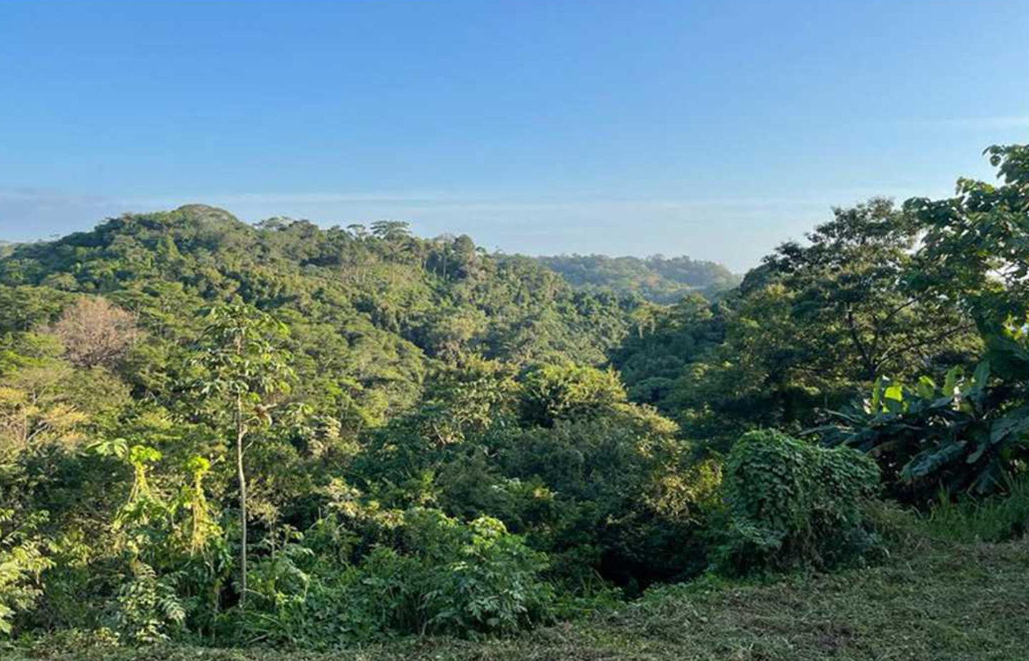 0 bed Land For Sale in Playa Hermosa Santa Teresa, Puntarenas - thumb 1