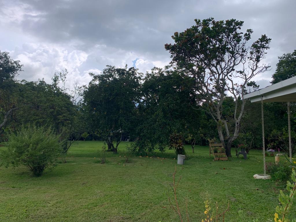 4 bed Single Family Homes For Sale in Desamparados, San Jose - thumb 7