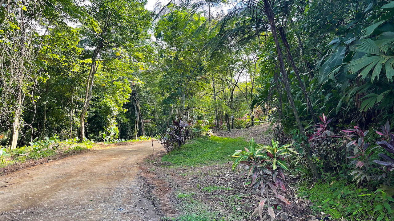 0 bed Land For Sale in Ojochal, Puntarenas - thumb 16