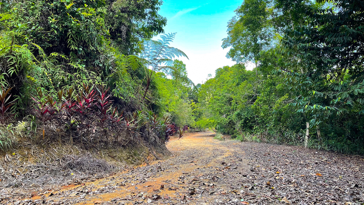 0 bed Land For Sale in Ojochal, Puntarenas - thumb 20