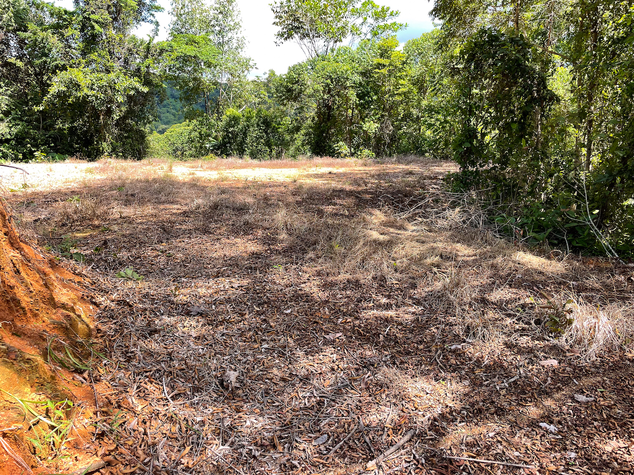 0 bed Land For Sale in Ojochal, Puntarenas - thumb 17