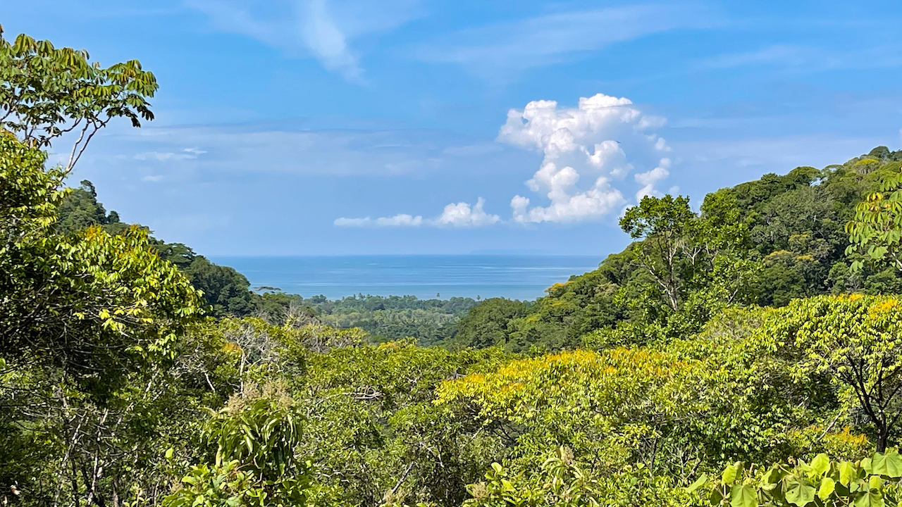 0 bed Land For Sale in Ojochal, Puntarenas - thumb 15