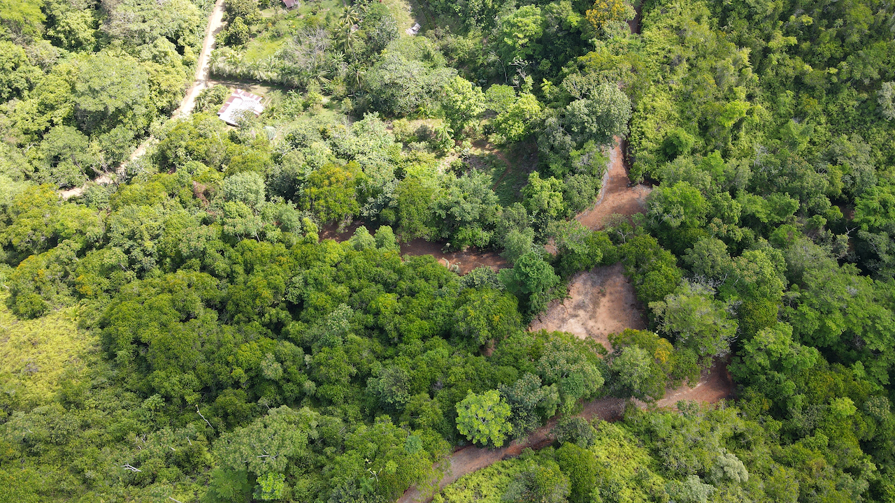 0 bed Land For Sale in Ojochal, Puntarenas - thumb 5