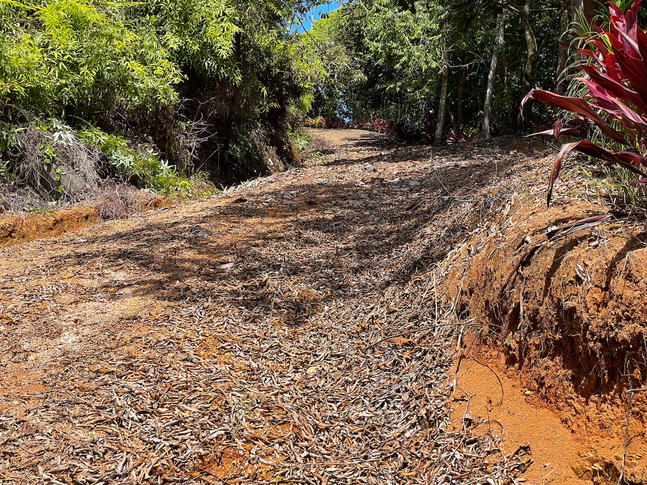 0 bed Land For Sale in Ojochal, Puntarenas - thumb 19