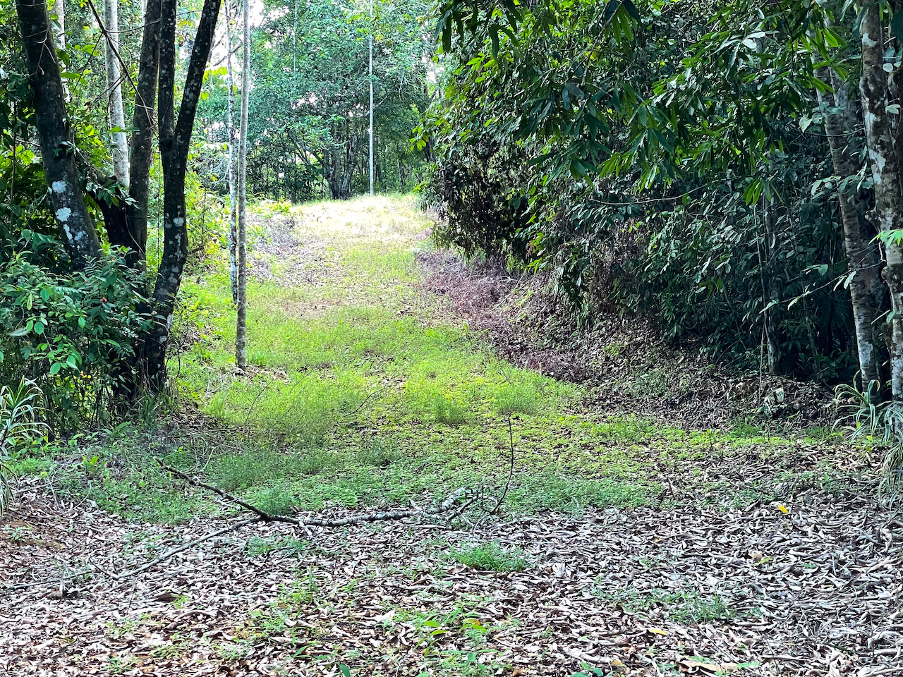 0 bed Land For Sale in Ojochal, Puntarenas - thumb 18