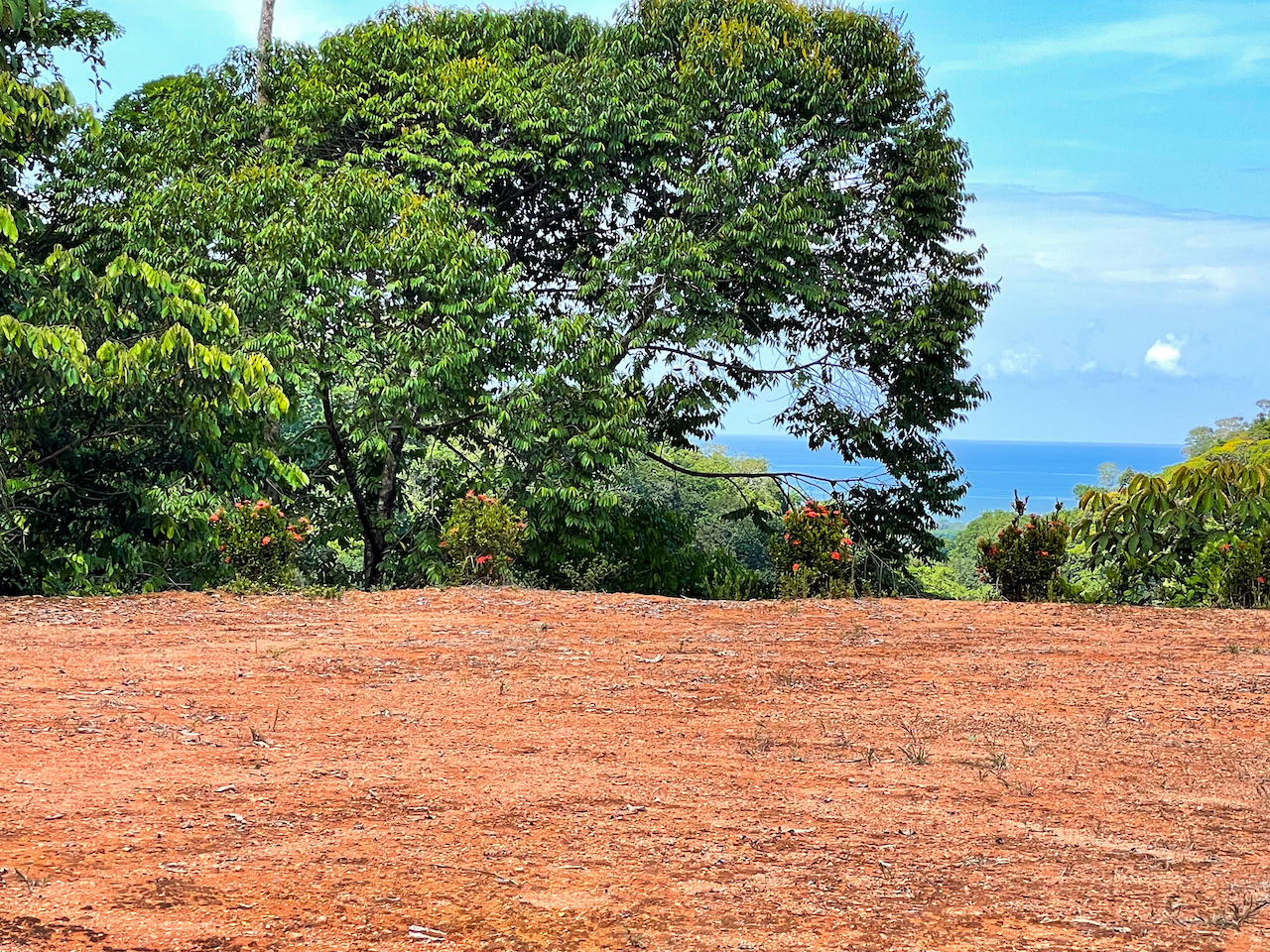 0 bed Land For Sale in Ojochal, Puntarenas - thumb 12