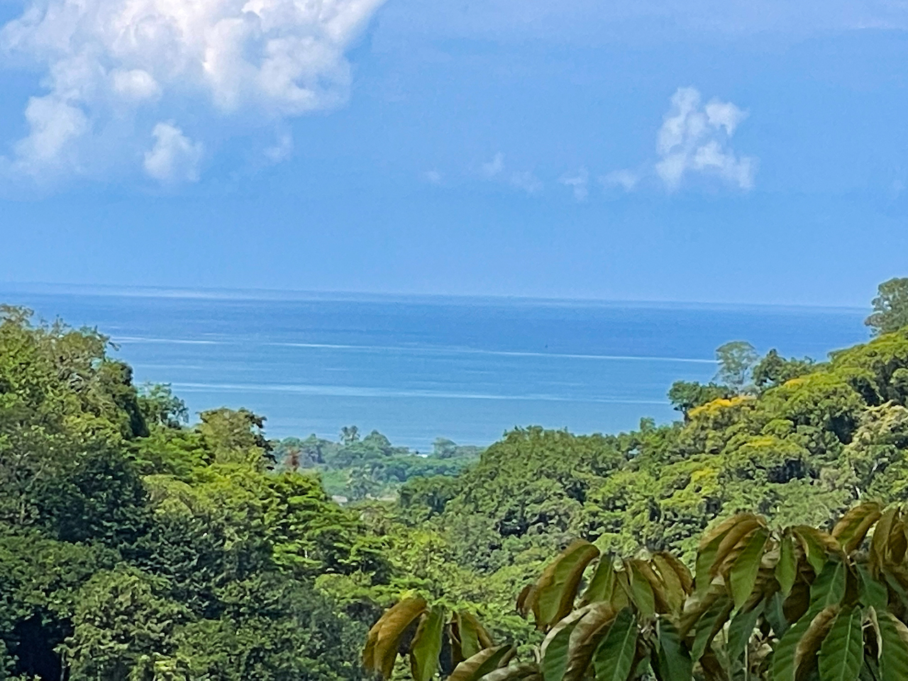 0 bed Land For Sale in Ojochal, Puntarenas - thumb 21