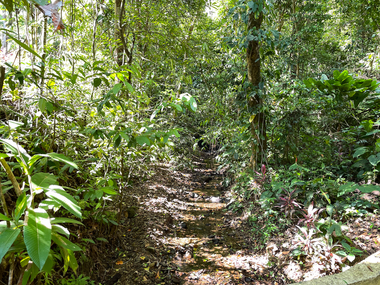 0 bed Land For Sale in Ojochal, Puntarenas - thumb 22