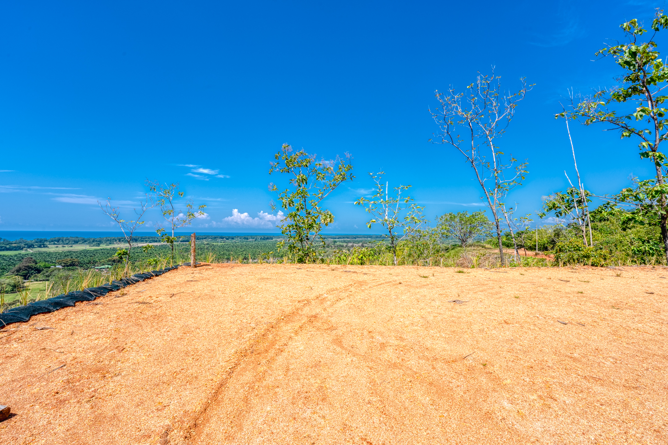 0 bed Land For Sale in Dominical, Puntarenas - thumb 16
