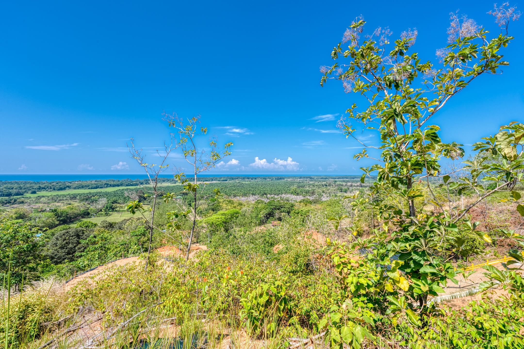 0 bed Land For Sale in Dominical, Puntarenas - thumb 21