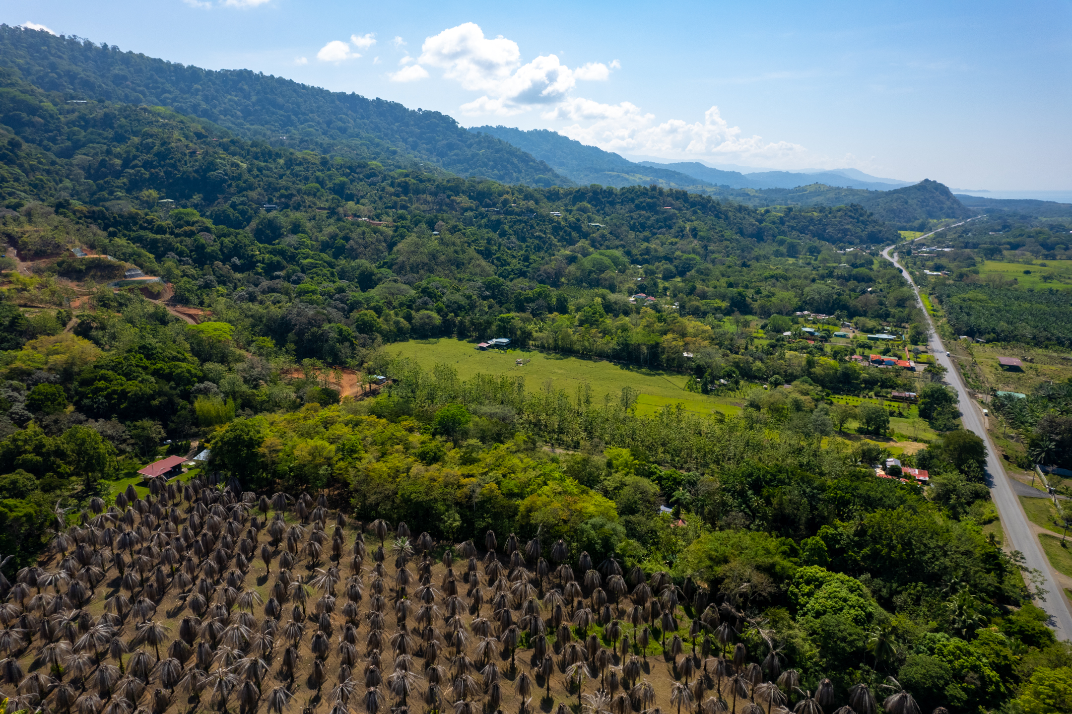 0 bed Land For Sale in Dominical, Puntarenas - thumb 12