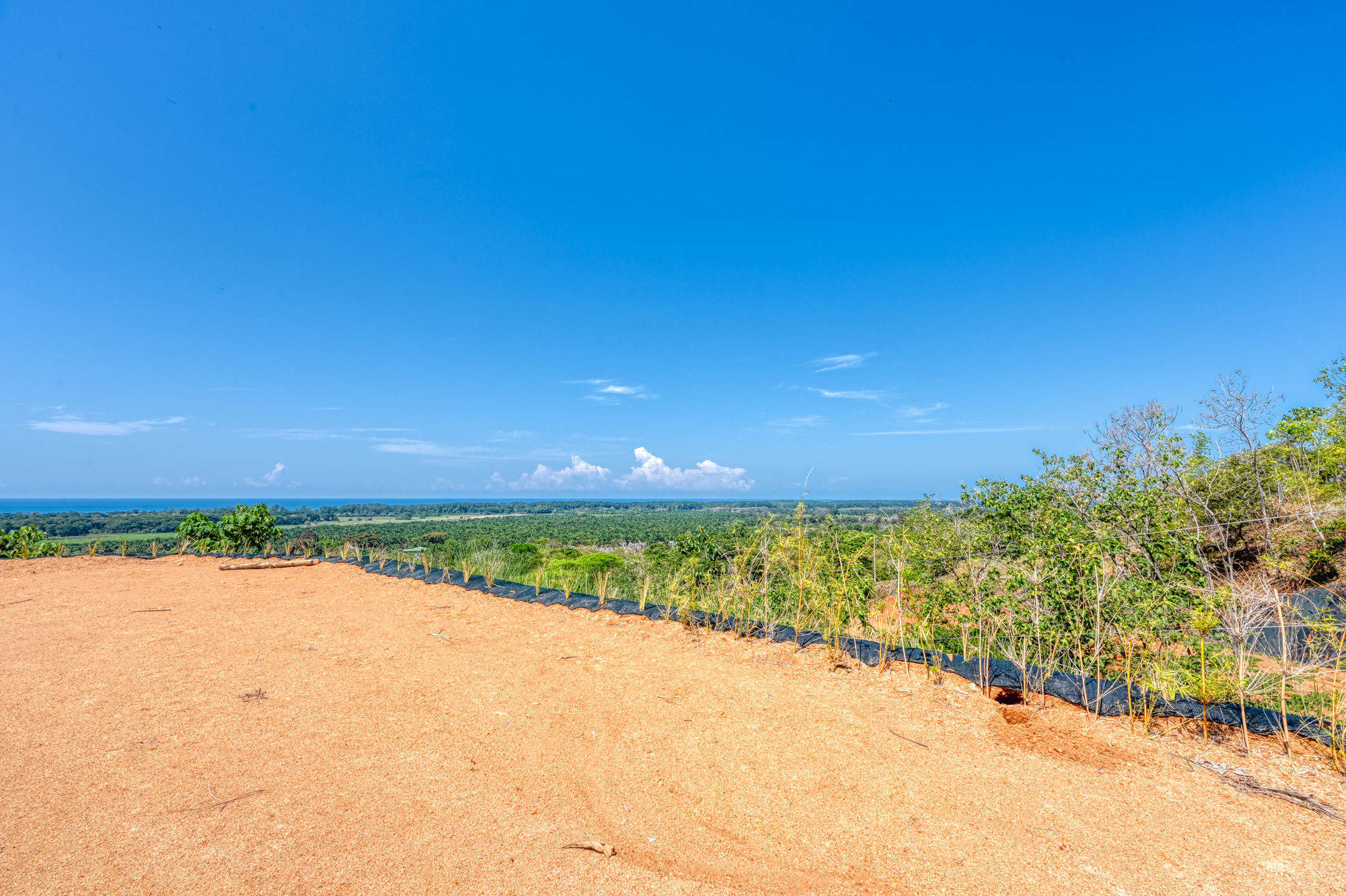0 bed Land For Sale in Dominical, Puntarenas - thumb 21
