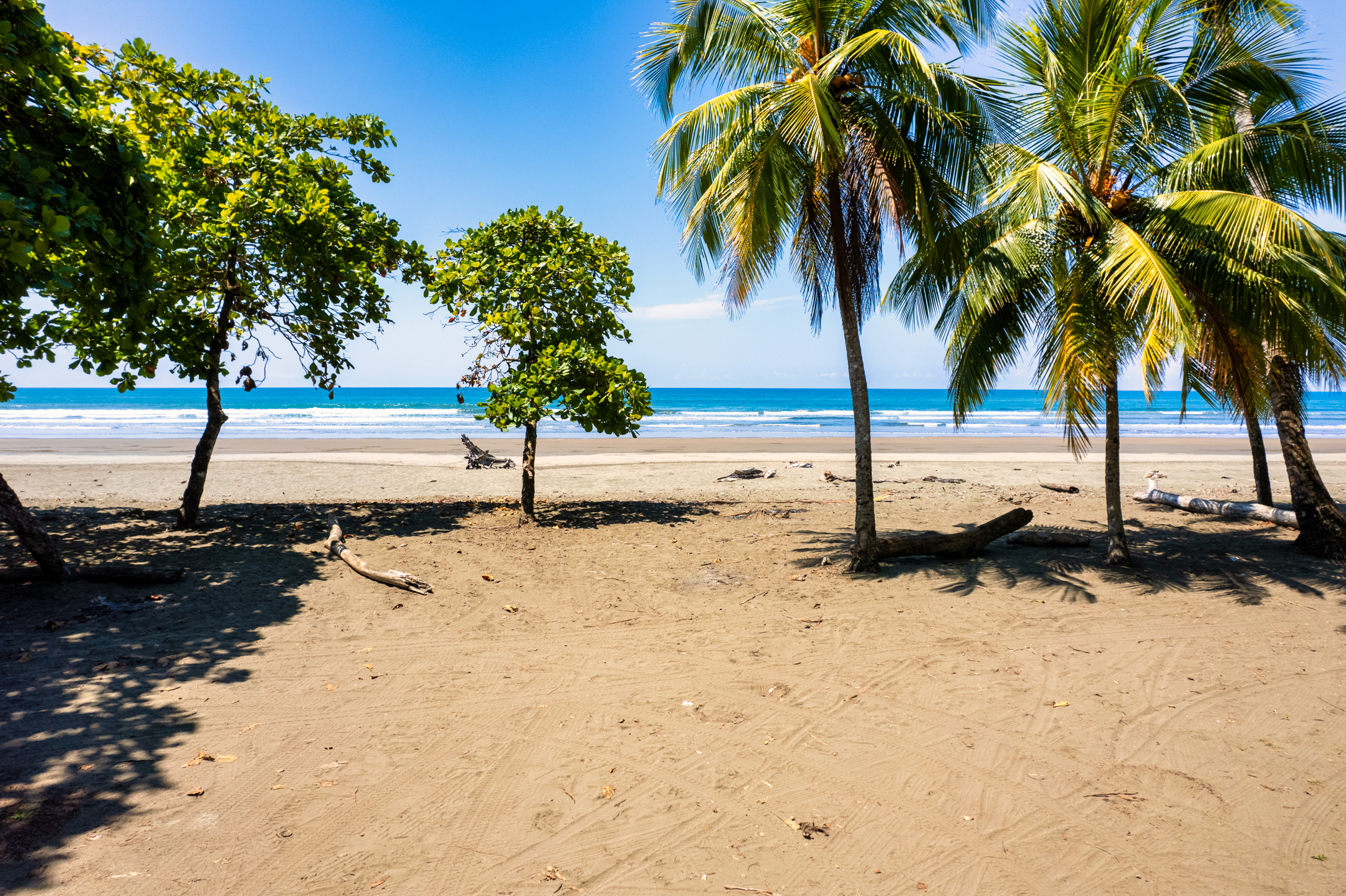 0 bed Land For Sale in Dominical, Puntarenas - thumb 24