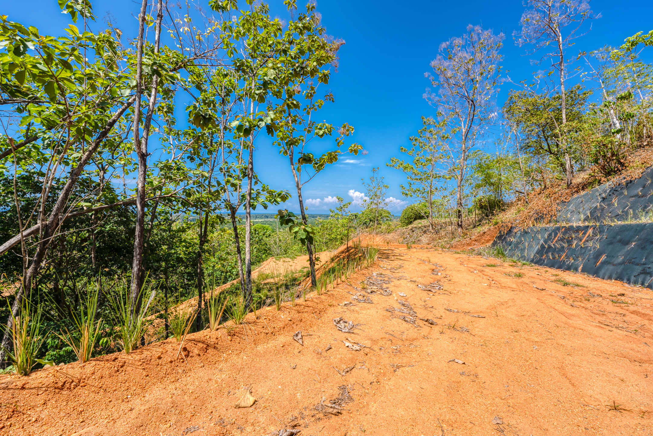 0 bed Land For Sale in Dominical, Puntarenas - thumb 16