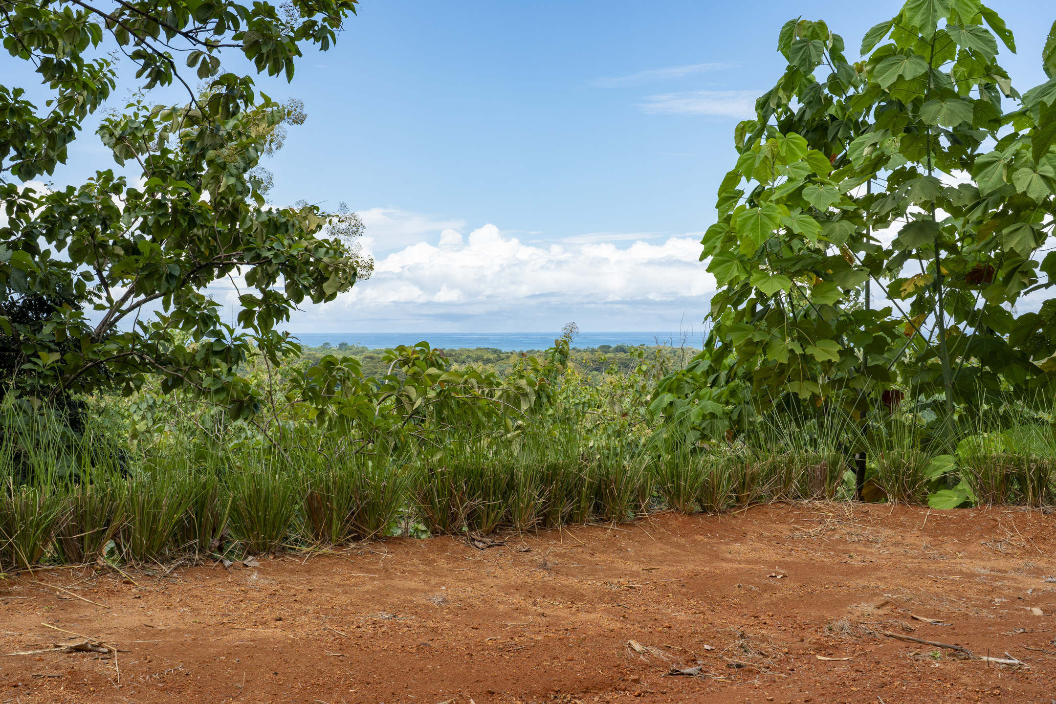0 bed Land For Sale in Dominical, Puntarenas - thumb 4