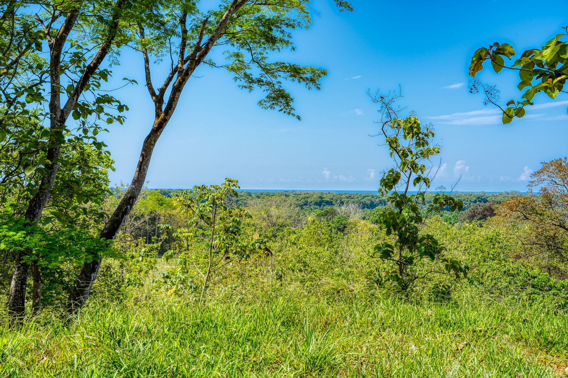 0 bed Land For Sale in Dominical, Puntarenas - thumb 15