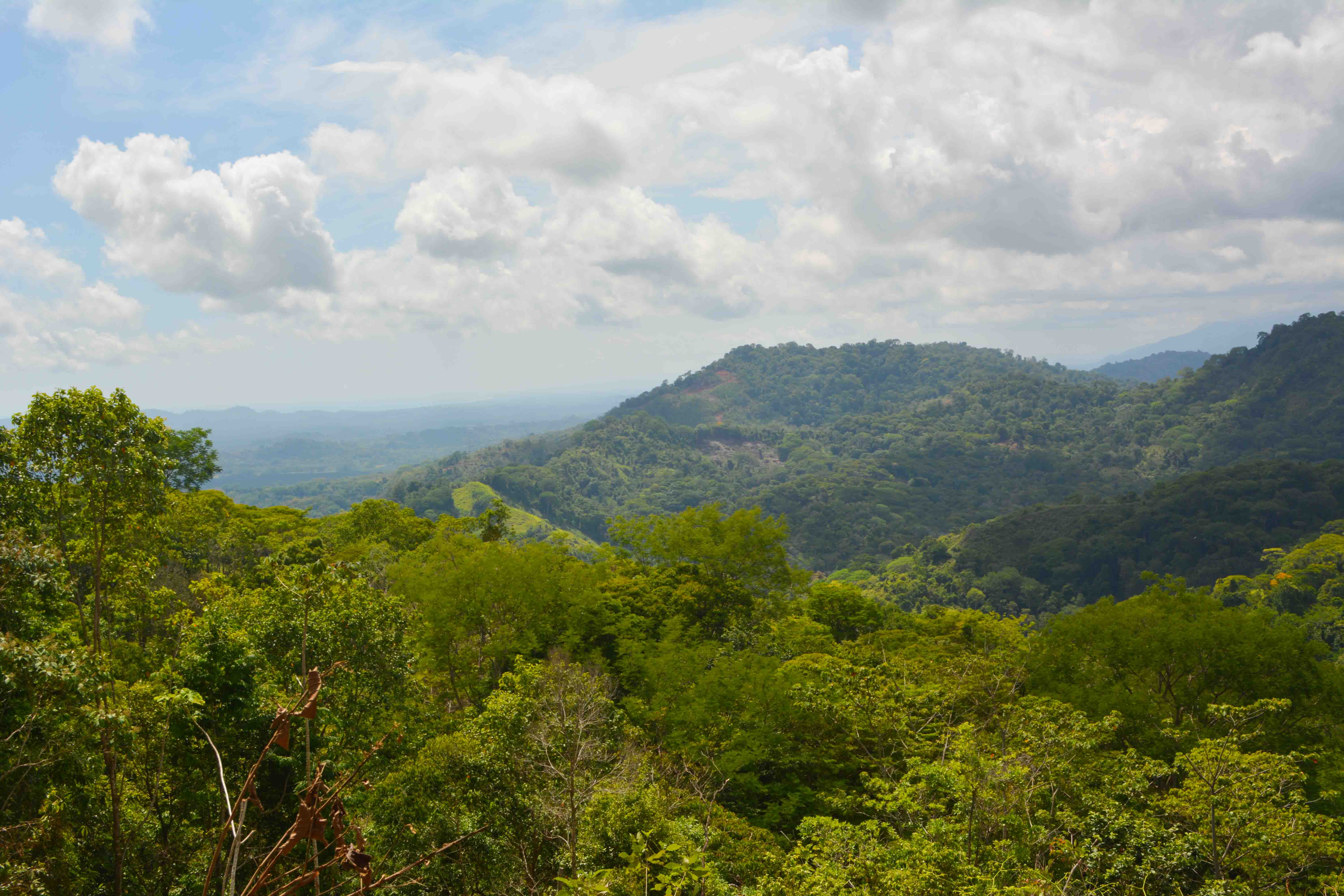 0 bed Land For Sale in Savegre, Puntarenas - thumb 2