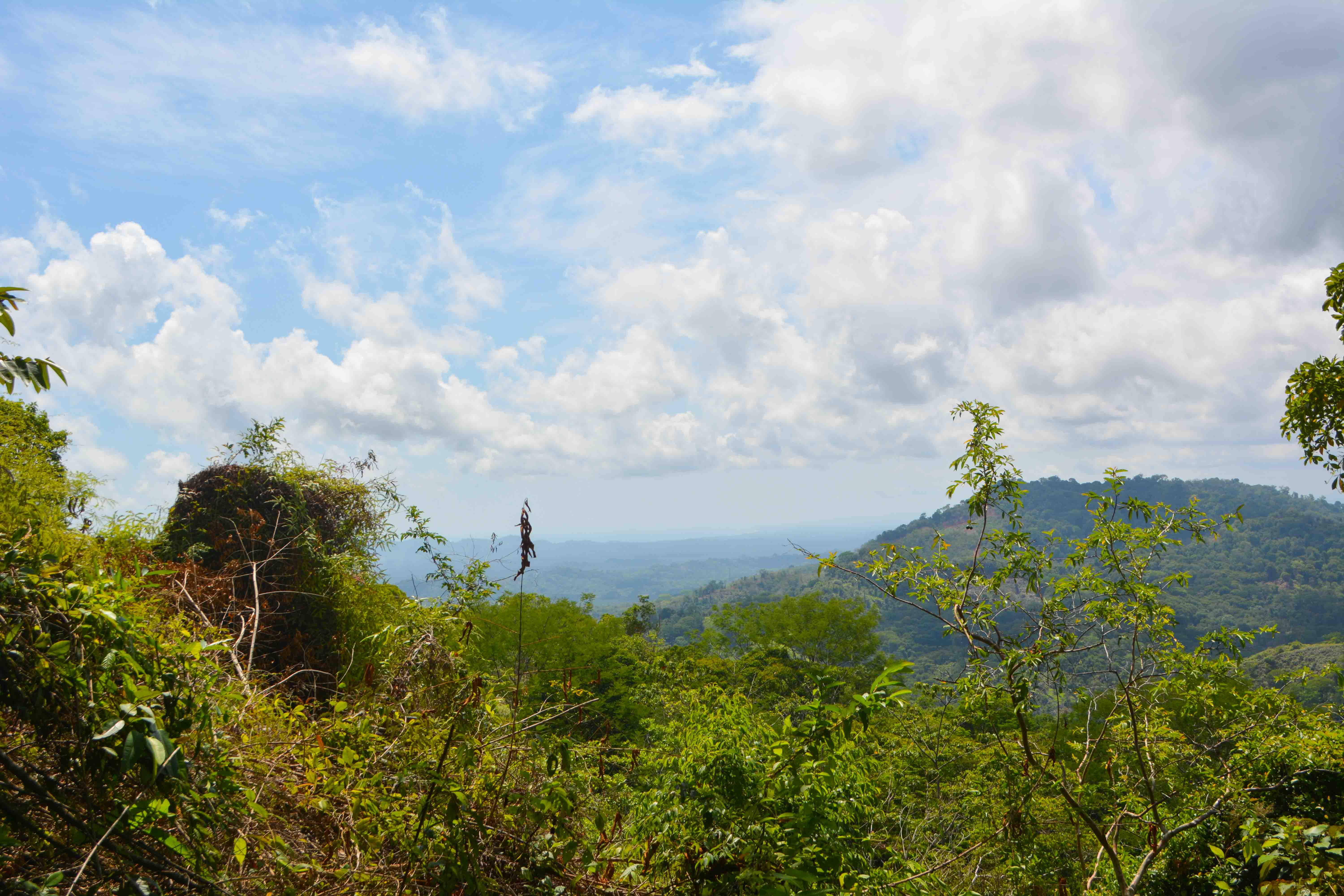 0 bed Land For Sale in Savegre, Puntarenas - thumb 6