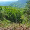  - 42 Acres with Waterfalls, Ocean Views and Multiple Building Sites