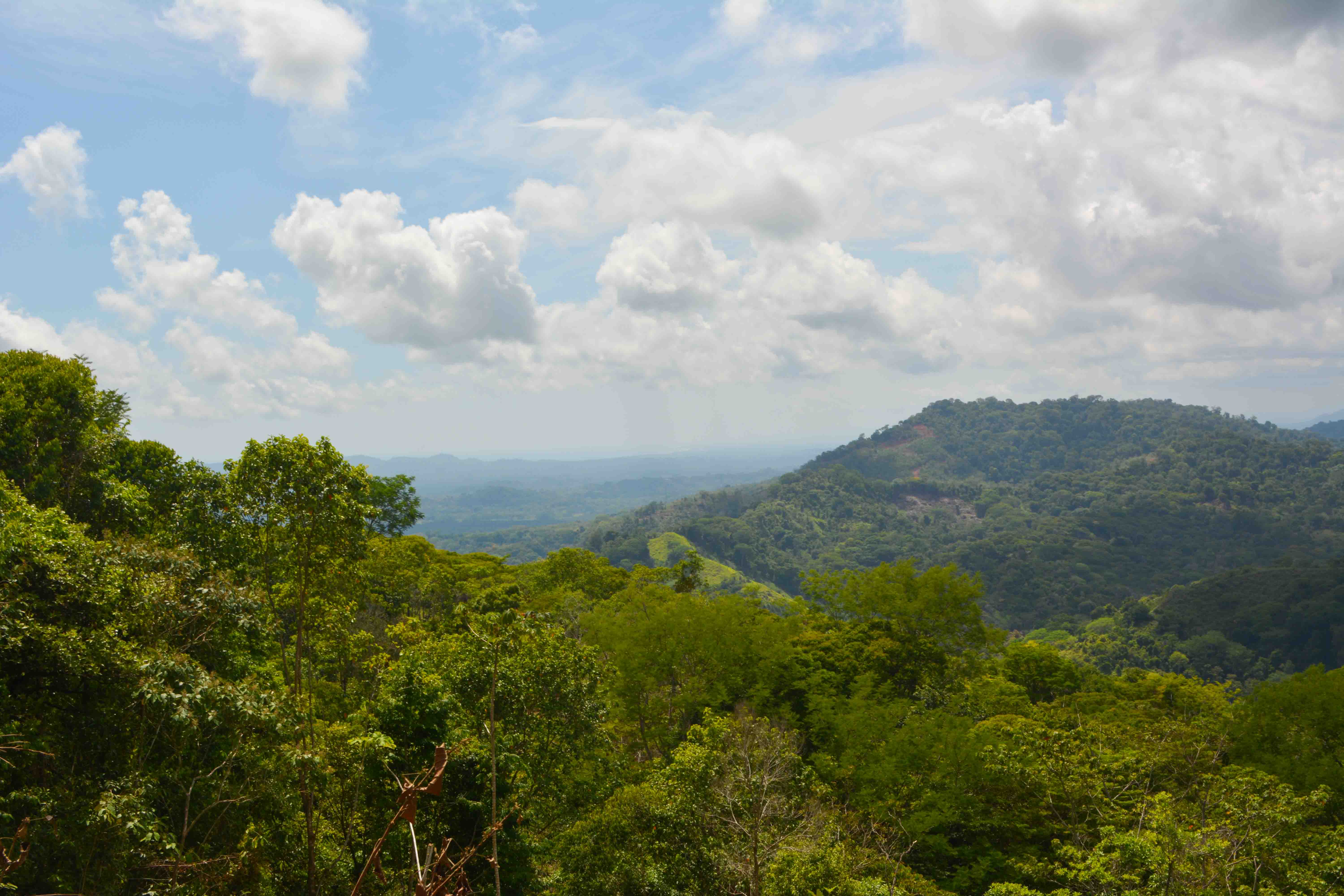 0 bed Land For Sale in Savegre, Puntarenas - thumb 8