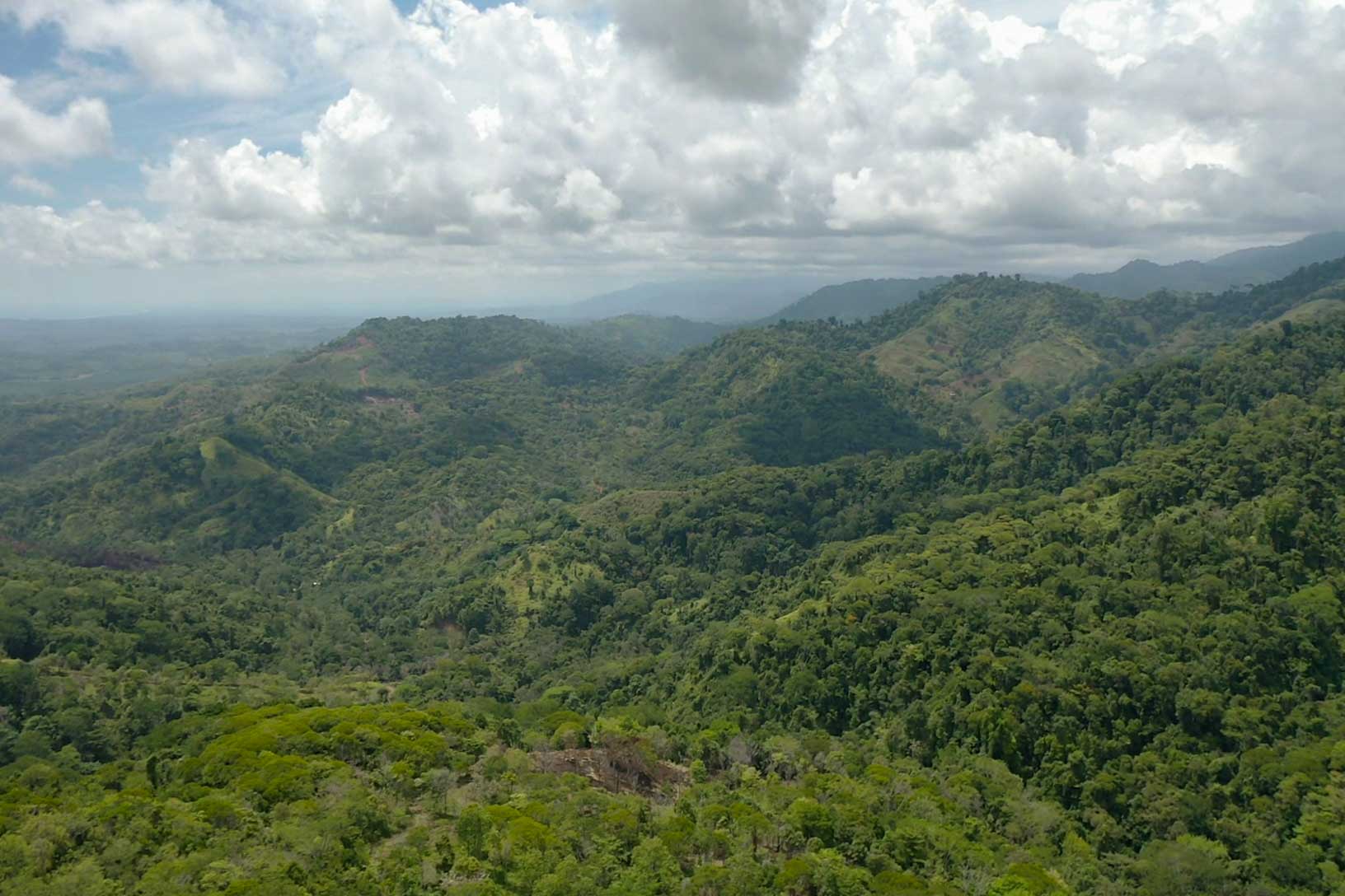 0 bed Land For Sale in Savegre, Puntarenas - thumb 4