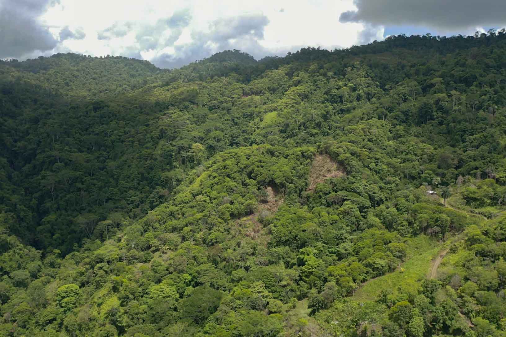 0 bed Land For Sale in Savegre, Puntarenas - thumb 3