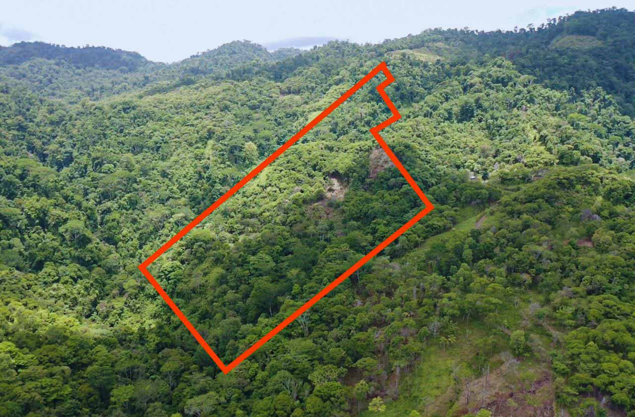 0 bed Land For Sale in Savegre, Puntarenas - thumb 1