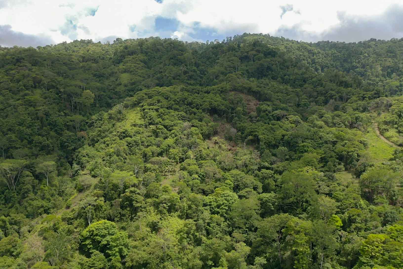 0 bed Land For Sale in Savegre, Puntarenas - thumb 5