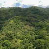  - 42 Acres with Waterfalls, Ocean Views and Multiple Building Sites
