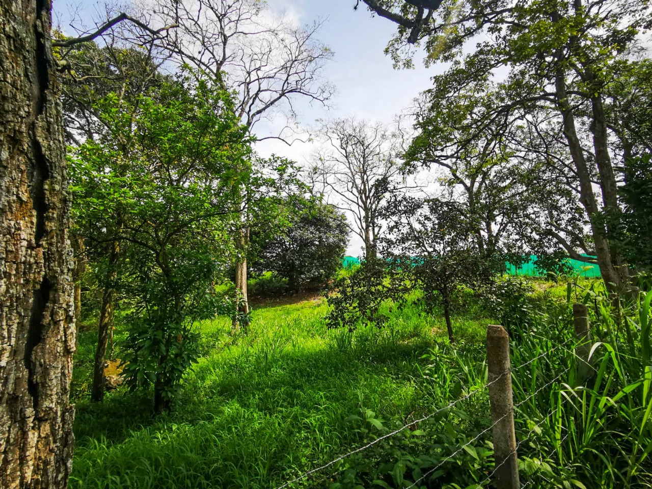 0 bed Land For Sale in La Garita, Alajuela - thumb 1