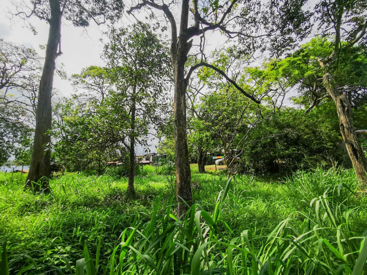 0 bed Land For Sale in La Garita, Alajuela - thumb 6